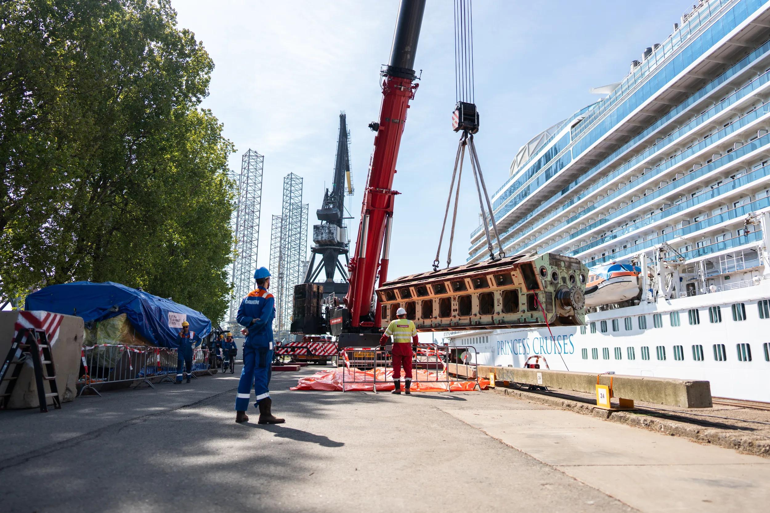 Circles of life teaser