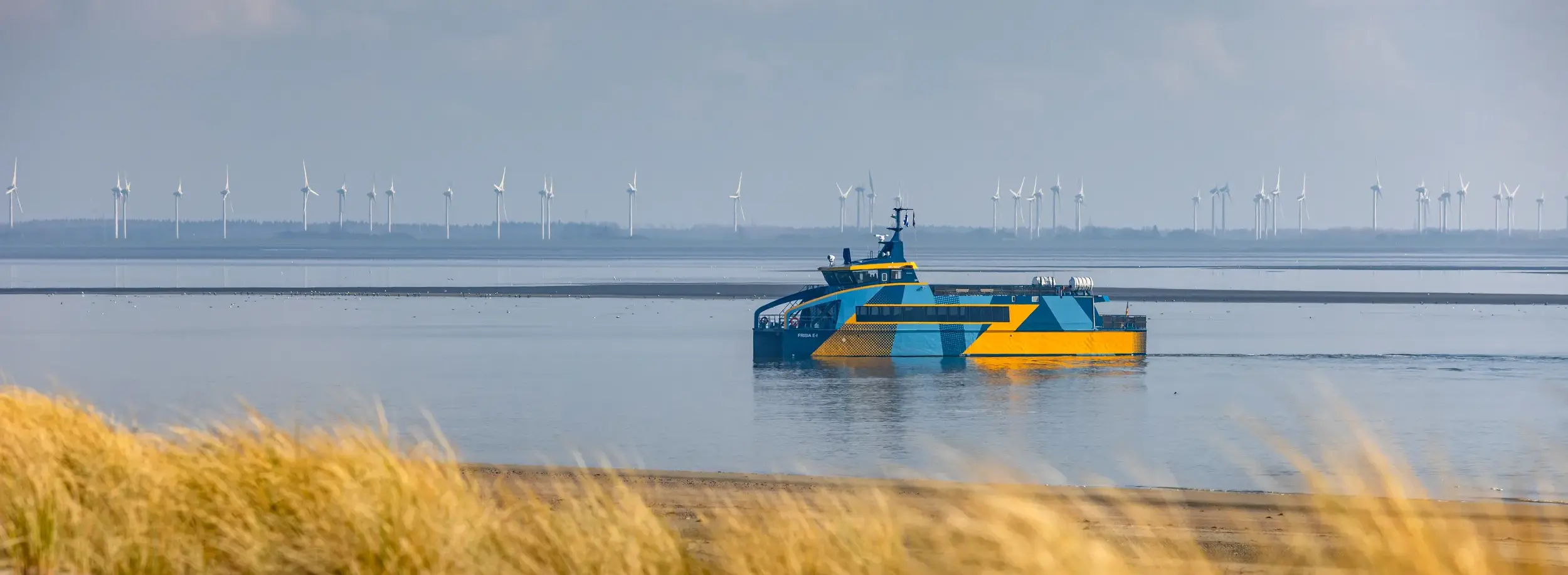 Damen Shipyards Group in 2025: profit growth and a filled order book top