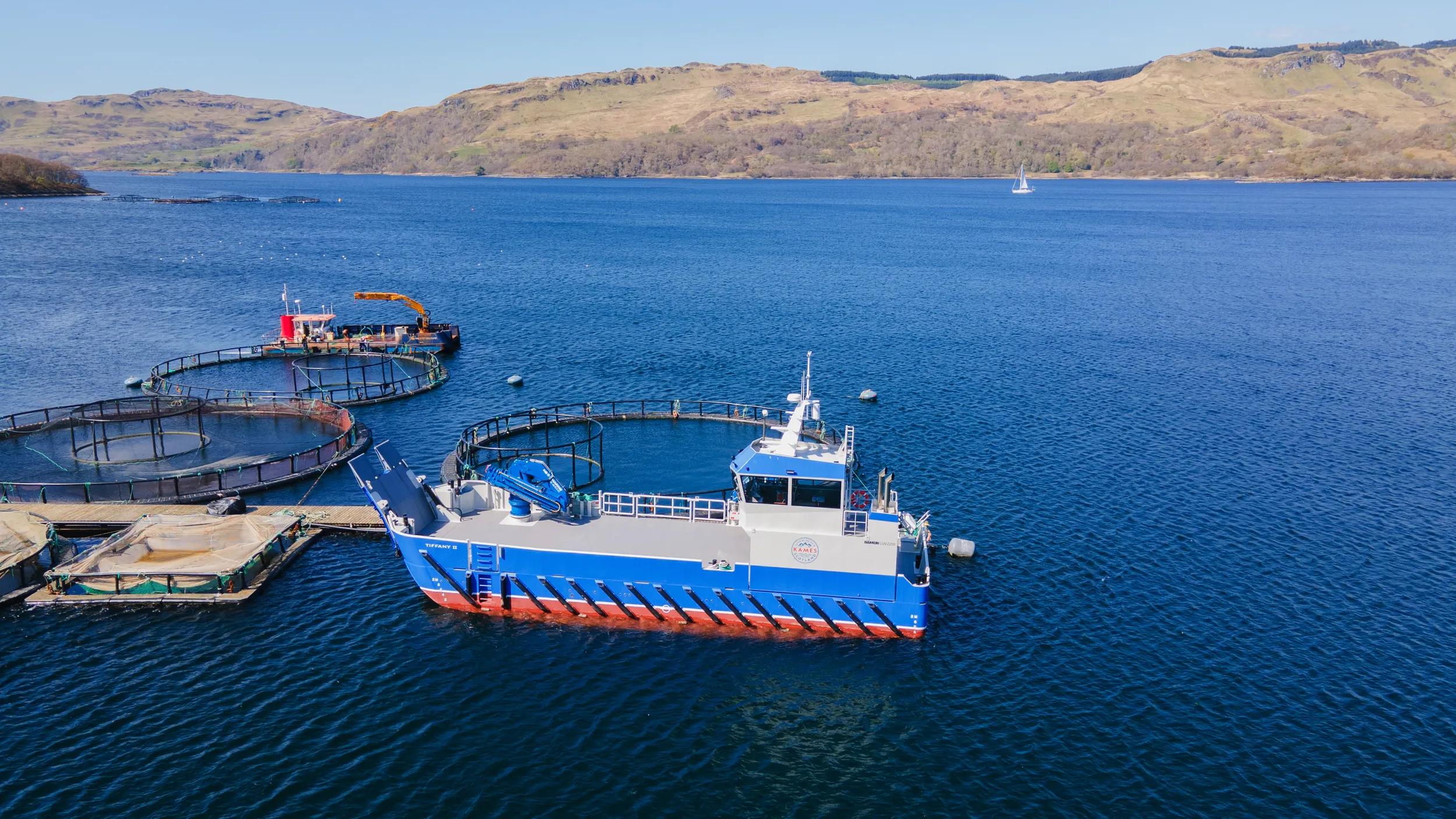 Damen Tugs: a process of evolution 2