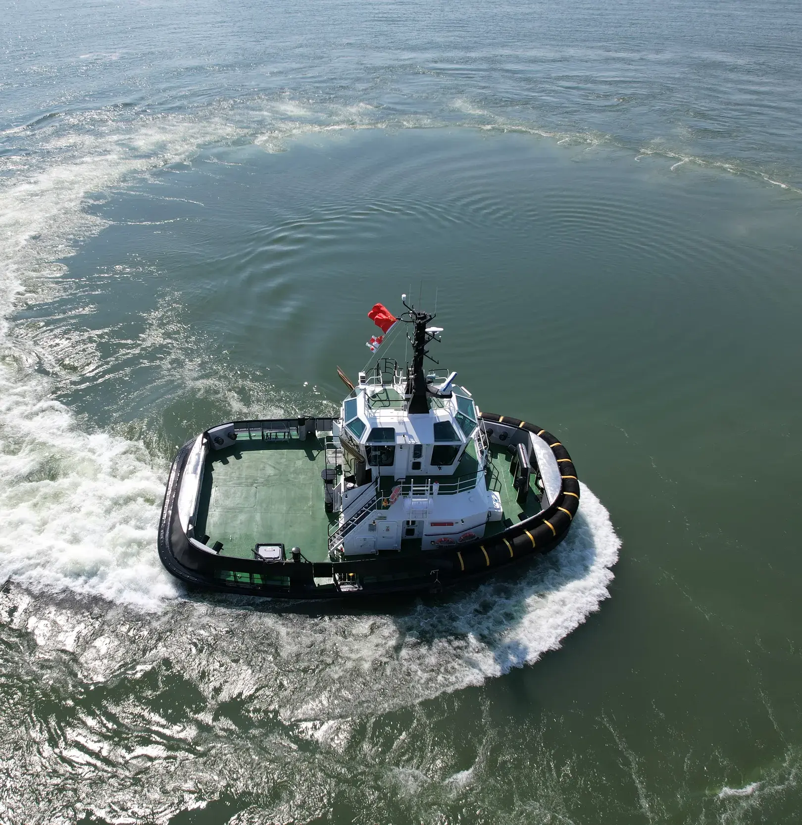 asd tug 1810 dff hamster (4)