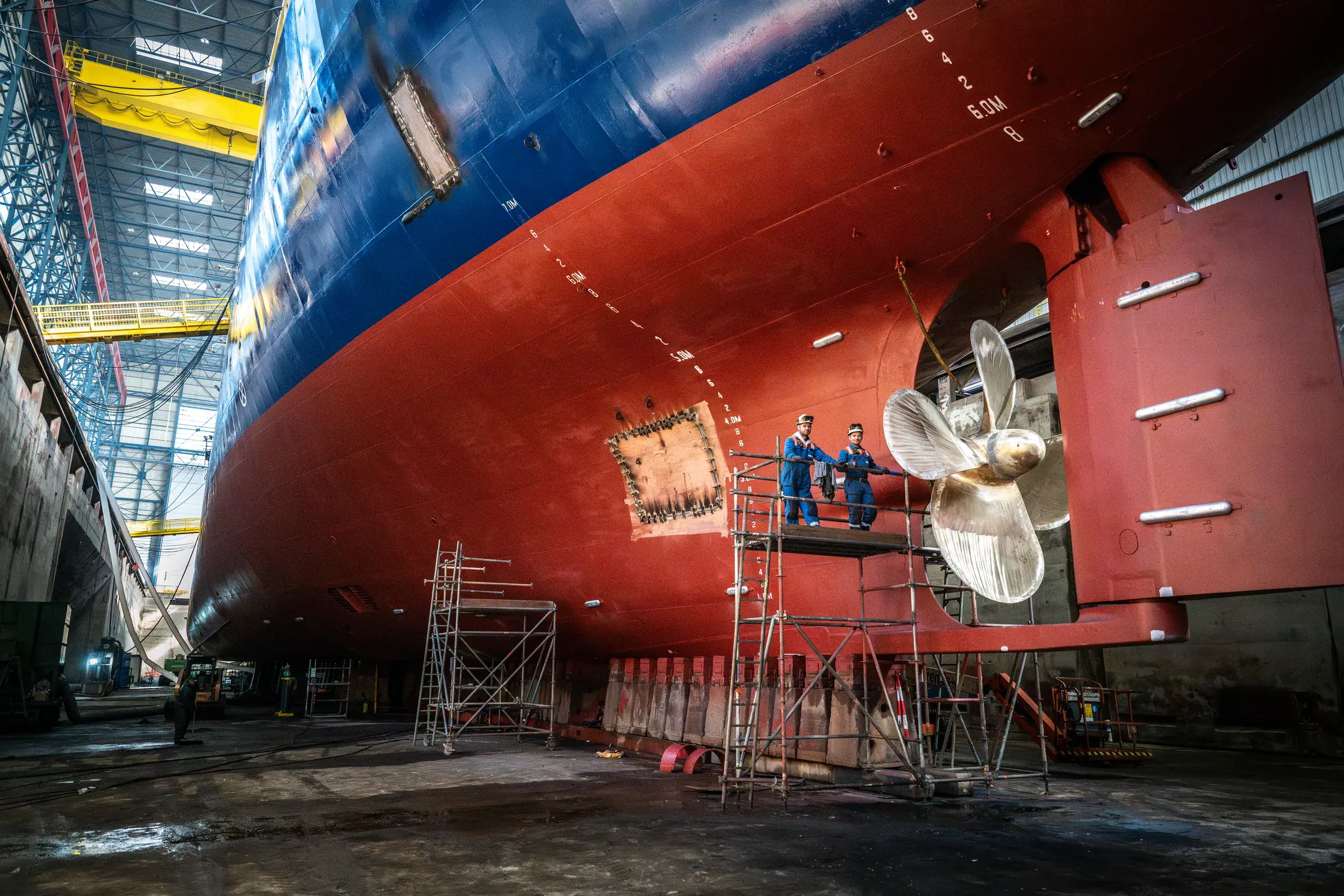 Damen Shipyards Group reports profit and full order book in 2024 2