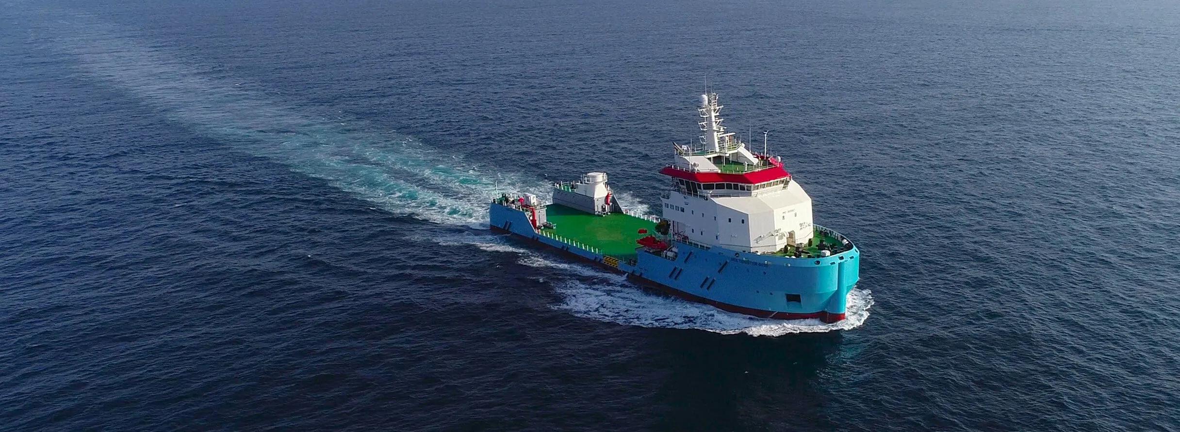My favourite project: Damen Multi Buster 8020 - Damen