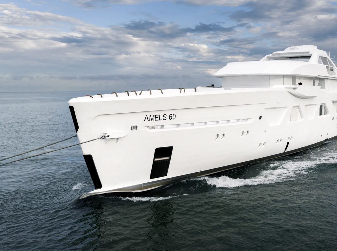 Amels 6010